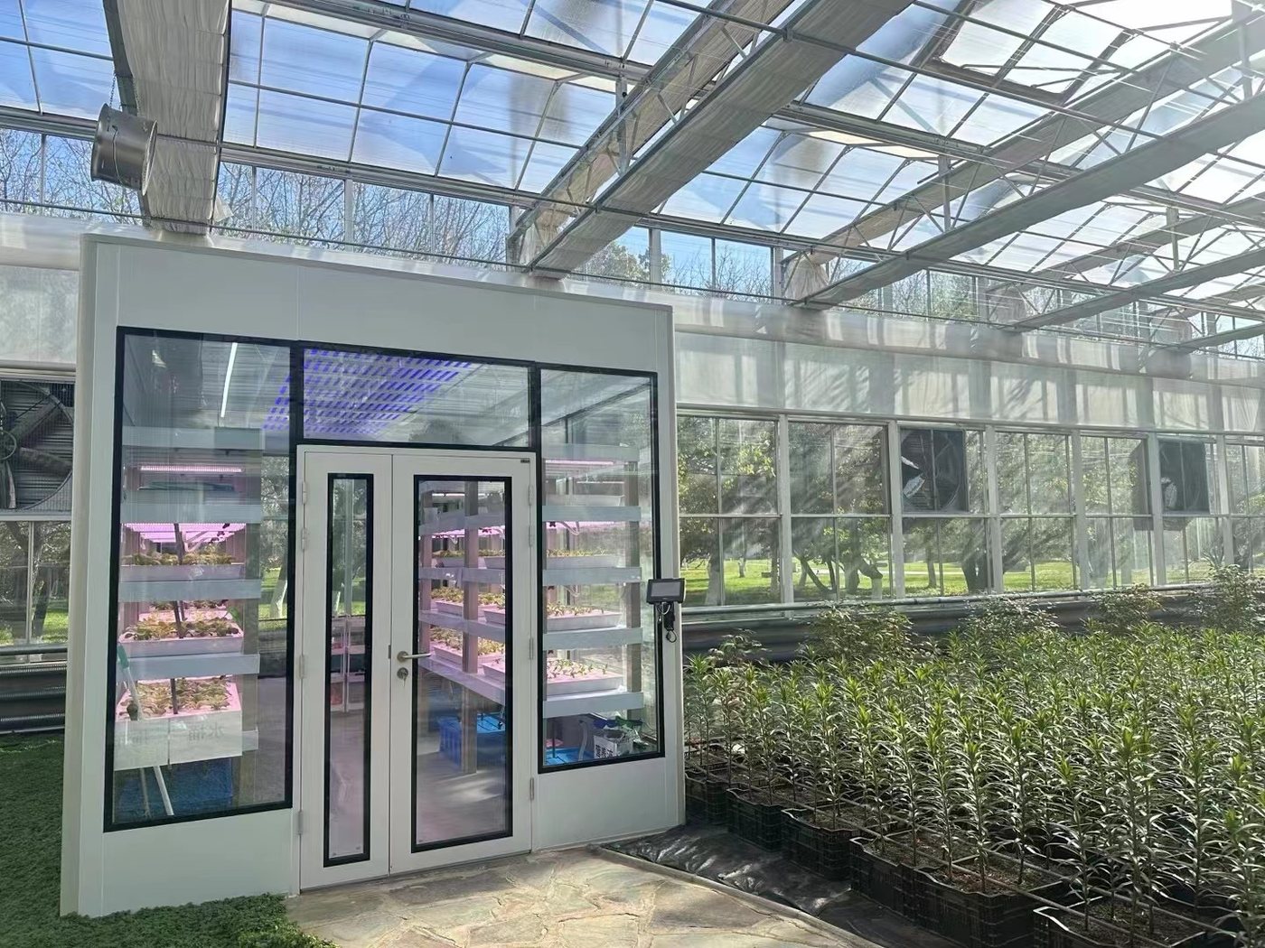 模块化植物工厂种植单元(温室内交付)