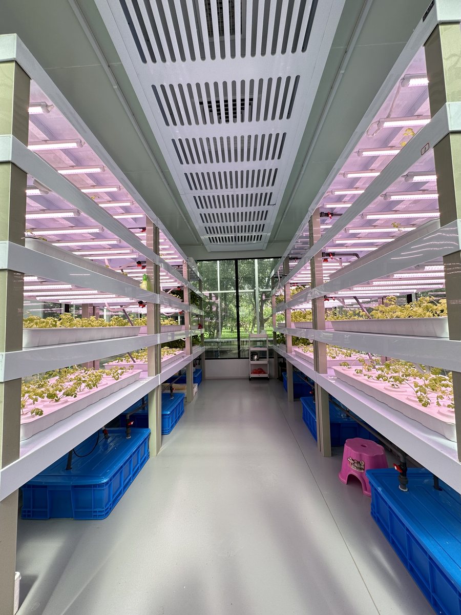 植物工厂多层栽培架与LED补光